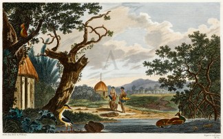 View in the Island of New Caledonia Captain Cook