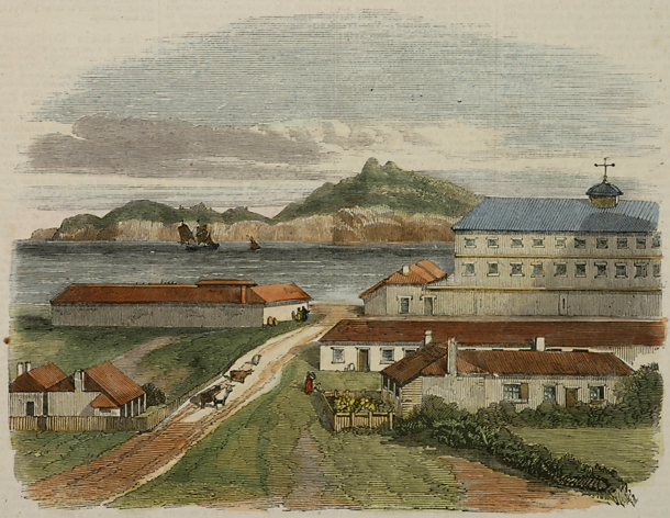 View in Norfolk Island, the New Home of the Pitcairners. - Antique Print from 1853