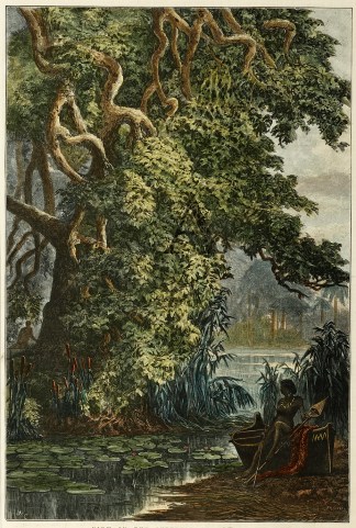 View in the Interior of New Guinea. PACIFIC