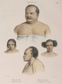 1. Palou, Chef de Moua. 2. Tahofa, Chef de Bea. 3. Williams Fils de Palou. 4. Nioulala, Parent de Palou.