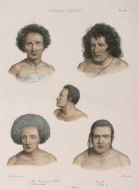 1. Un Mataboulai de Palou. 2. Vai Totai. 3. Koulivaile. 4. Tahofa II. 5. Finaou