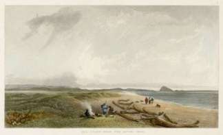 Sea Coast near the River Ohau. North Island