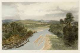 The Upper Hutt District