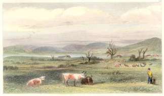 Porerua Harbour North Island