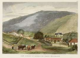 View looking up Hawkstone Street, Wellington.