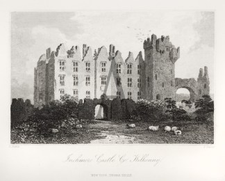 Inchmore Castle Co. Kilkenny Ireland