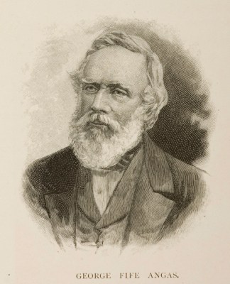 George Fife Angas. Australian