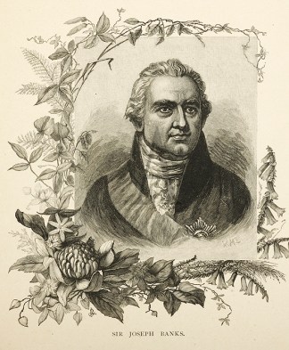Sir Joseph Banks. Australian