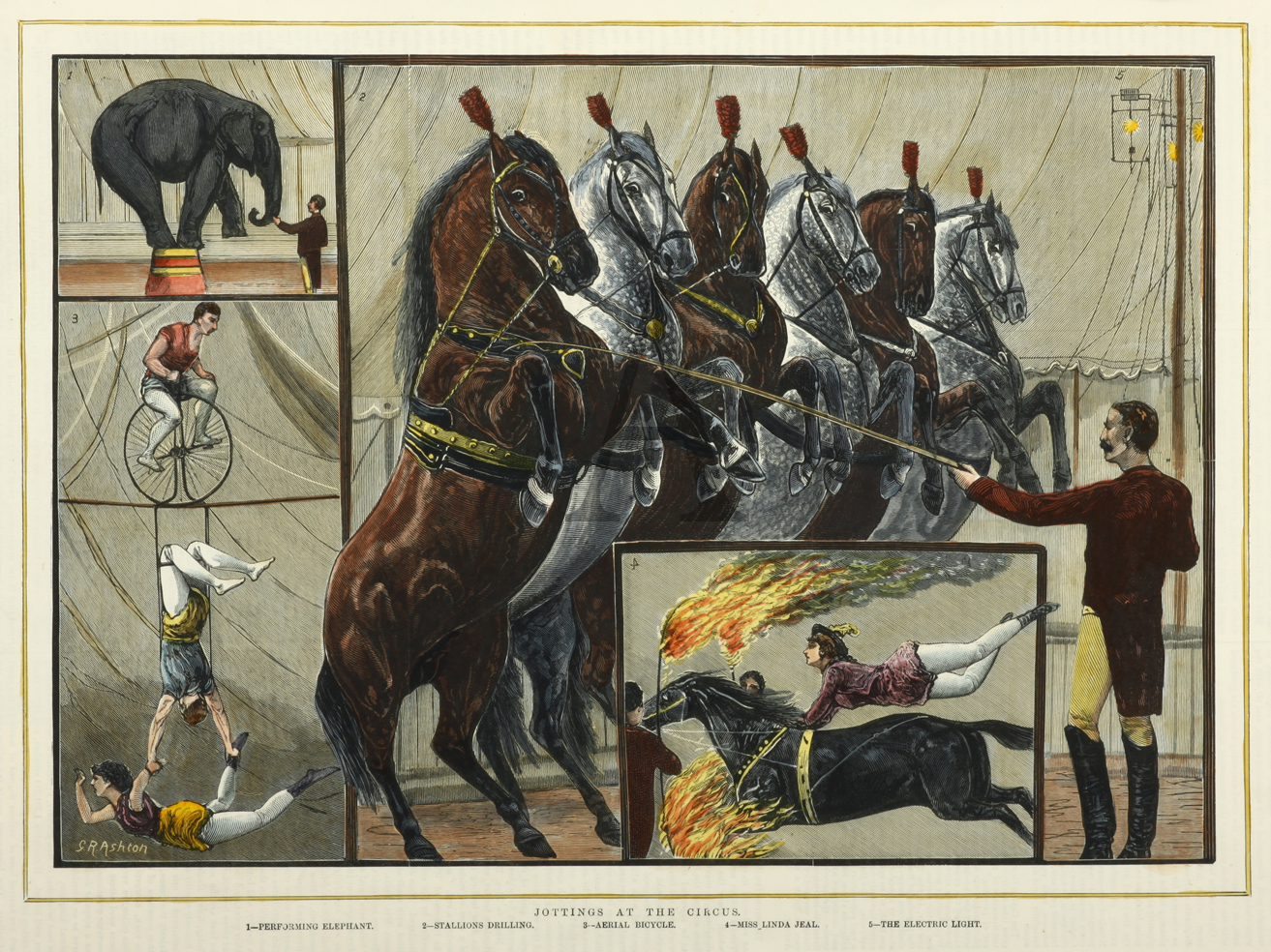 Jottings at the Circus. - Antique Print from 1875