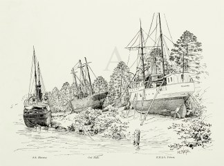 Ships Ashore in The Botanic Gardens. Queensland