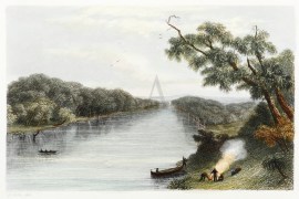 Upward view of Hope Reach, Albert River. Queensland