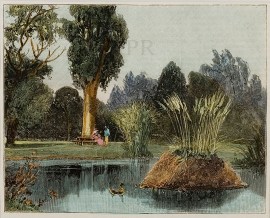 Botanic Gardens, Small Lake