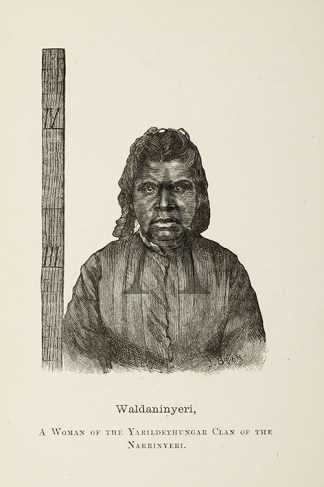 Waldaninyeri, A Woman of the Yarildethun… First Nations History