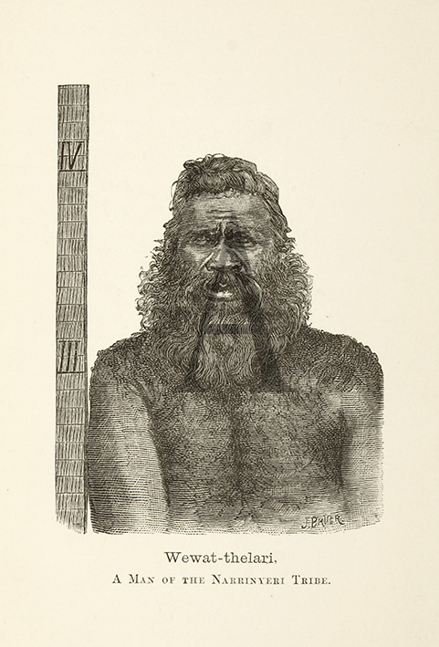 "Wewat-thelari," a Man of the Narrinyeri Tribe. - Antique Print from 1883