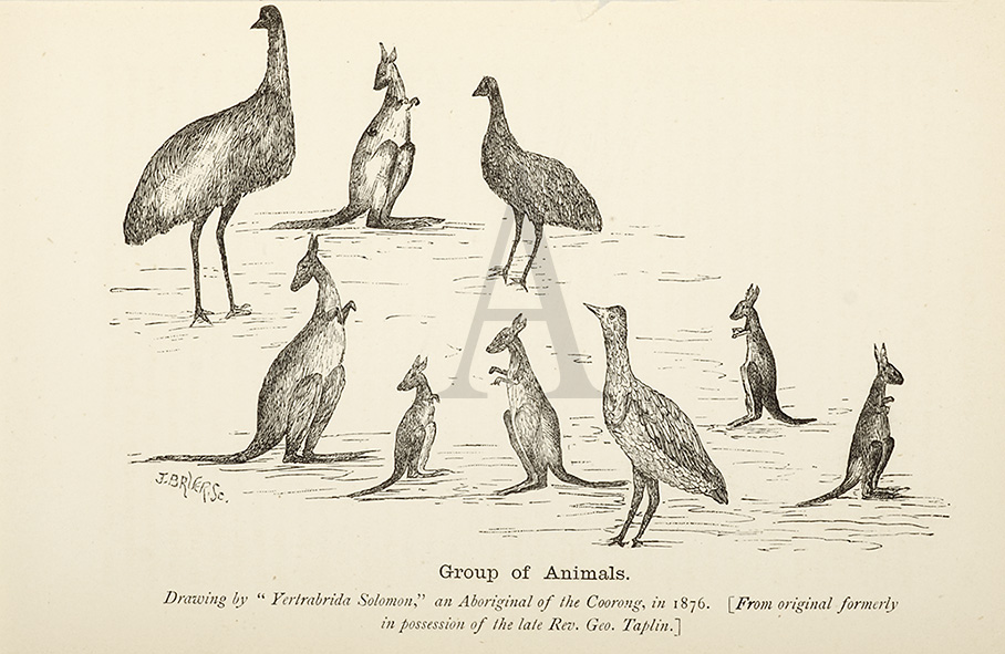 Group of Animals. - Antique Print from 1883