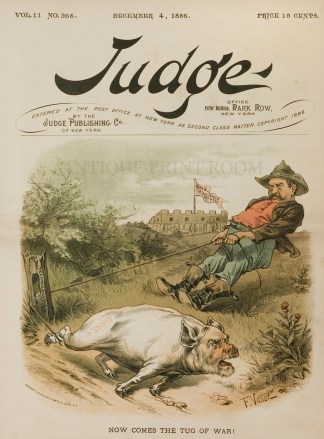 Now comes the Tug of War ANIMALS