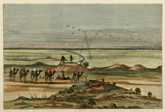 The Blanche Cup; A Central Australian Mo… Regional