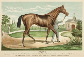 Iroquois. Winner of the Derby. One of th… Equestrian