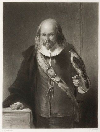 The Falconer. Falconry