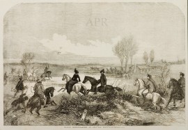 Magpie Hawking. From an Original Sketch