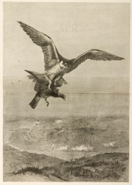 In the Clutch of the Enemy