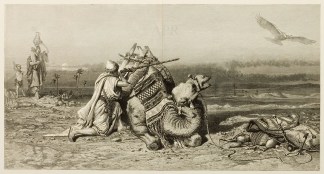 The Swooping Terror of the Desert. Falconry