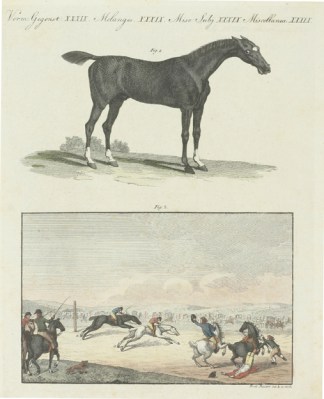 [Horse races in England] Equestrian