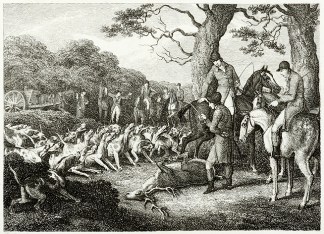 Stag Hunting Equestrian