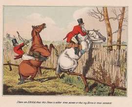 I have an IDEA that this Fence is either TOO HIGH … Equestrian