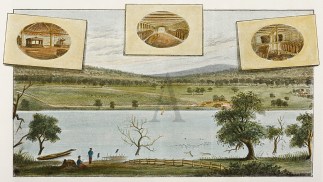 Messers. Caldwell’s Vineyard on th… Regional