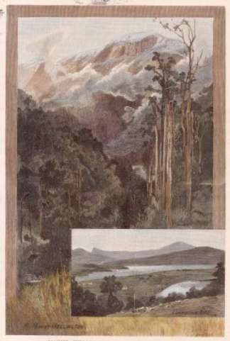 Mount Wellington from the Cascades Tasmania