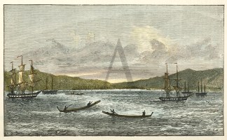 Old pa and whalers at Bay of Islands in … NEW ZEALAND