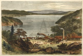 Australian Meat Curing Establishment, La… Queensland