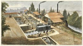 The New Plan of Sheepwashing.