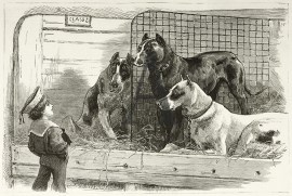 At a Dog Show - The Big Danes and the Little Englishman.