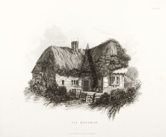 Ivy House,I.W. BRITISH ISLES