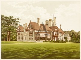 Cowdray Park BRITISH ISLES