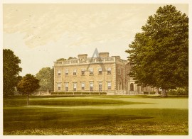 Peper Harow BRITISH ISLES