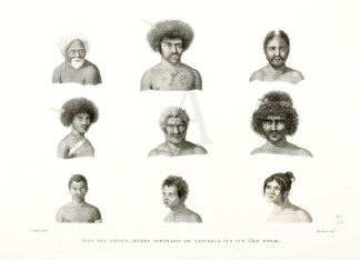 Iles des Papous. Divers Portraits de Nat… PACIFIC