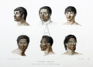 Nouvelle – Zelande. 1. Etui-Deni; … SUBJECTS A-Z