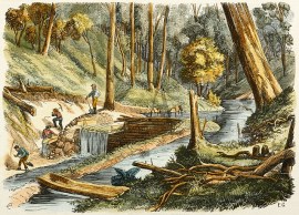 View in Gipps Land-Gold Mining on the Dargo.