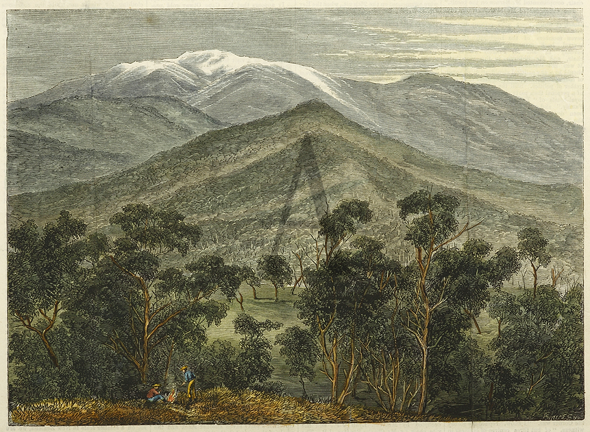 Mount Buller - Antique Print from 1868