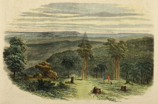 View from One-Tree Hill Fern-Tree Gully. Regional
