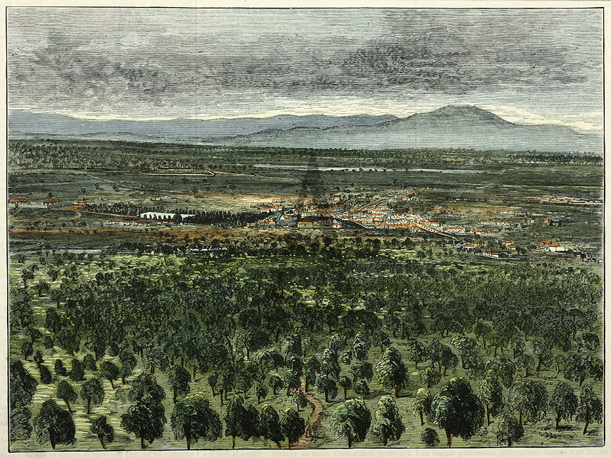 Birds-eye View of Ararat. - Antique View from 1875