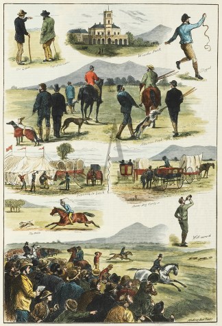 The Australian Coursing Club Meeting at … Regional