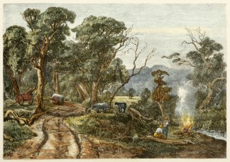 Sketch Near Macedon Regional