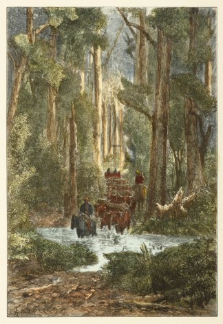 A Gippsland Track After Rain. Victoria