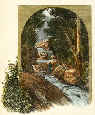 On The Tallarook Ranges. Regional