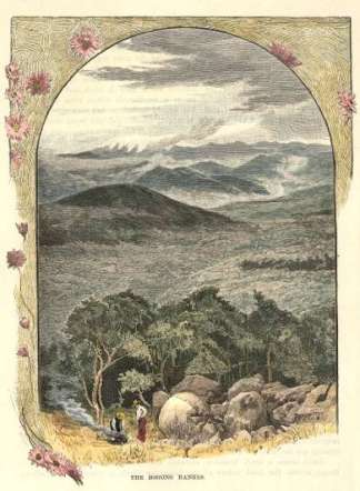 The Bogong Ranges. Regional