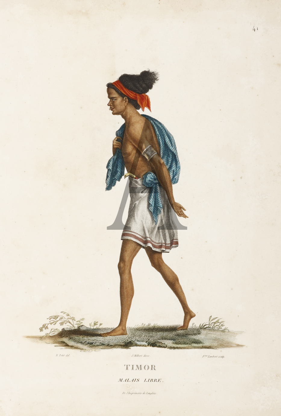 Timor. Malais Libre. - Antique Print from 1807